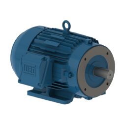 weg 00536et3ee184tc w22