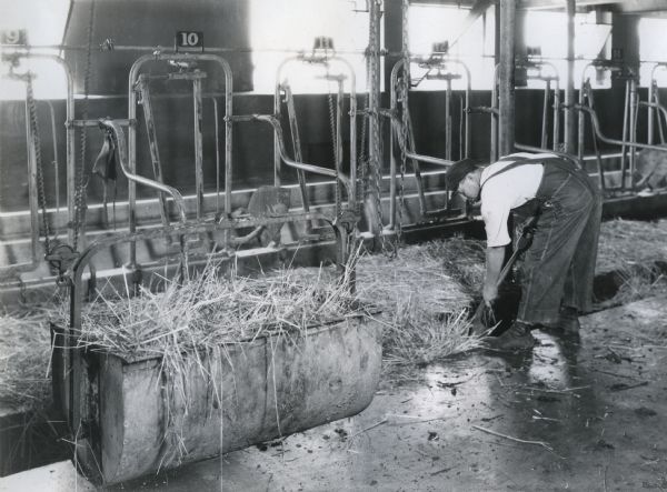 cleaning picture